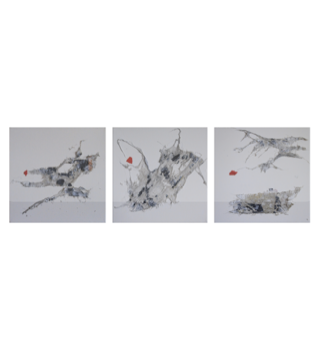 collage image title